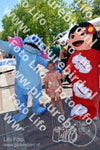 Evenement foto: 1273