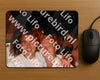 Evenement foto: 1194