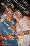 Evenement foto: 1193