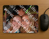 Evenement foto: 1193