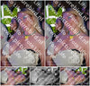 Evenement foto: 1193