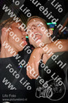 Evenement foto: 1193