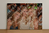 Evenement foto: 1193