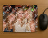 Evenement foto: 1193