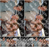 Evenement foto: 1190