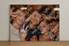Evenement foto: 2718