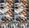 Evenement foto: 2716