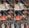 Evenement foto: 2740