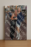 Evenement foto: 2734