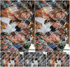Evenement foto: 2734