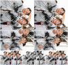 Evenement foto: 2731
