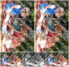 Evenement foto: 2712