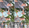 Evenement foto: 2712