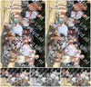 Evenement foto: 2712