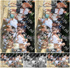 Evenement foto: 2712