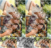 Evenement foto: 2712