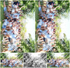Evenement foto: 2712