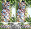 Evenement foto: 2712