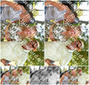 Evenement foto: 2711