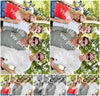 Evenement foto: 2711