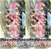 Evenement foto: 2711