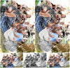 Evenement foto: 2711