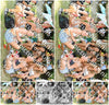Evenement foto: 2711