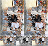 Evenement foto: 2710