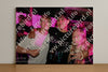 Evenement foto: 2447