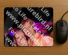 Evenement foto: 2447