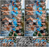 Evenement foto: 2444