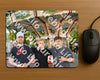 Evenement foto: 2443