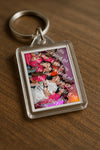 Evenement foto: 2433