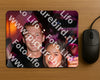 Evenement foto: 2432