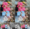 Evenement foto: 2430