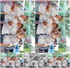 Evenement foto: 2430