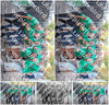 Evenement foto: 2429
