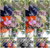 Evenement foto: 2428