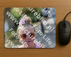 Evenement foto: 2428
