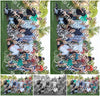 Evenement foto: 2428