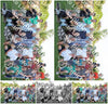 Evenement foto: 2428