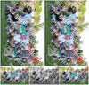 Evenement foto: 2428