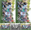 Evenement foto: 2428
