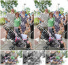 Evenement foto: 2427