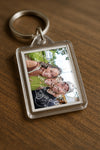 Evenement foto: 2427