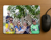 Evenement foto: 2427