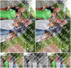 Evenement foto: 2427