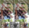 Evenement foto: 2427