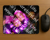 Evenement foto: 2425