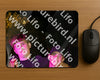 Evenement foto: 2425